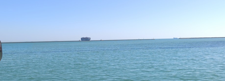 muhammet Sargın Cover Image