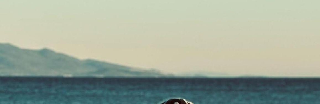 Arda Cover Image