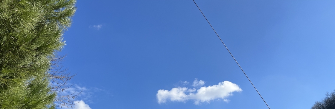 Nilüfer Kartal Cover Image