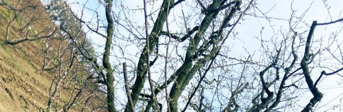 rana Kılın Cover Image