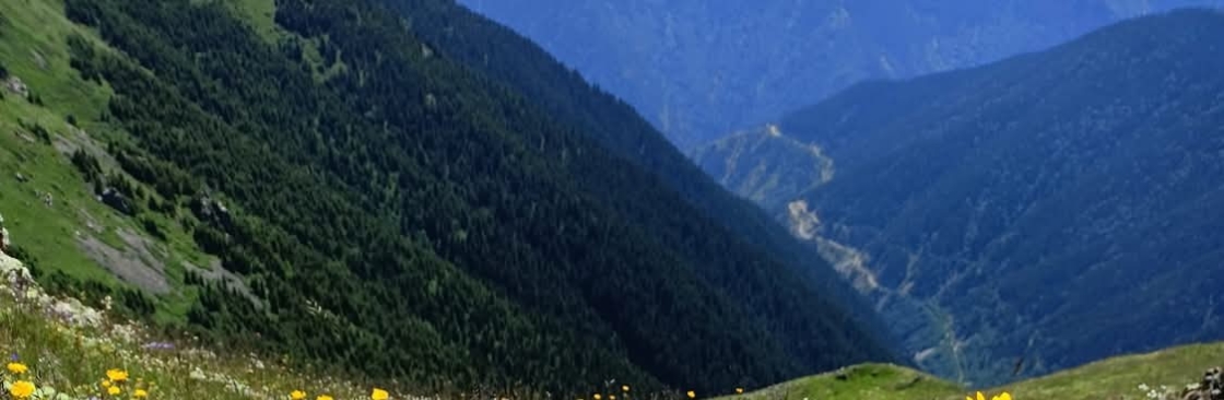 Hüseyin Gümüş Cover Image