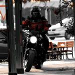 Furkan Ozan Demiralp Profile Picture