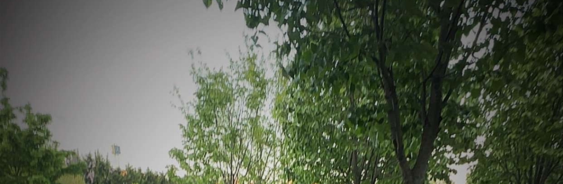 Mehmet Gözoğlu Cover Image