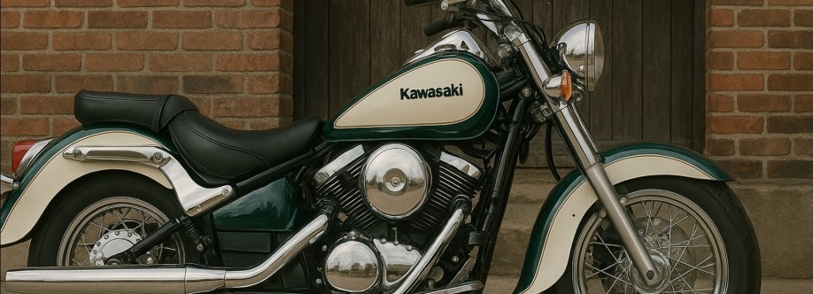 Kawasaki VN800 Cover Image