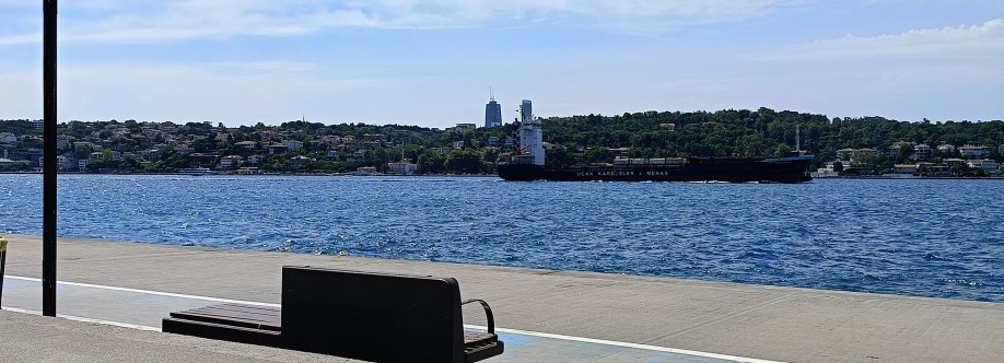 Mustafa Yıkılmaz Cover Image