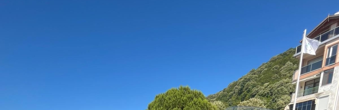 Nezih Tanyeri Cover Image