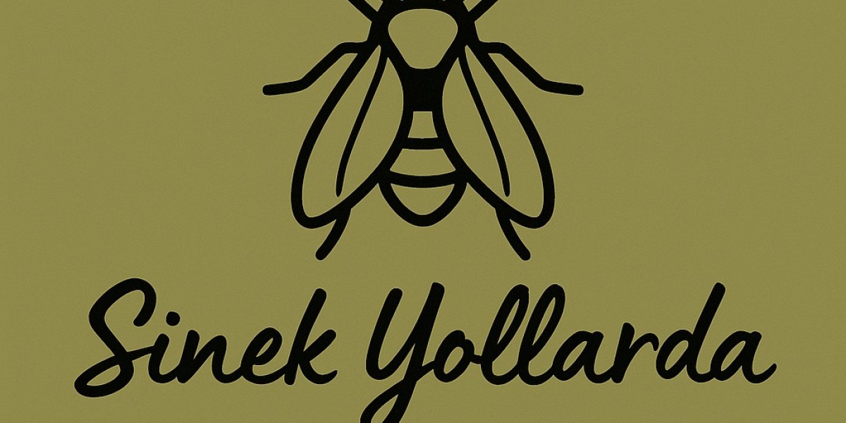 Kamp ve motor çantaları