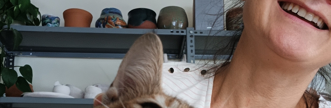 hande cetiz Cover Image