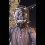 Savaş CB500F profile picture