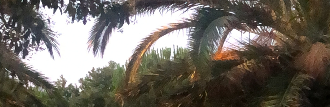 İsrafil KARAOĞLU Cover Image