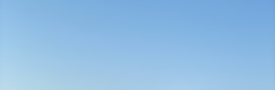 Moto Şövalye Cover Image