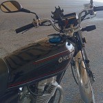 Duran Deniz SÜNBÜL